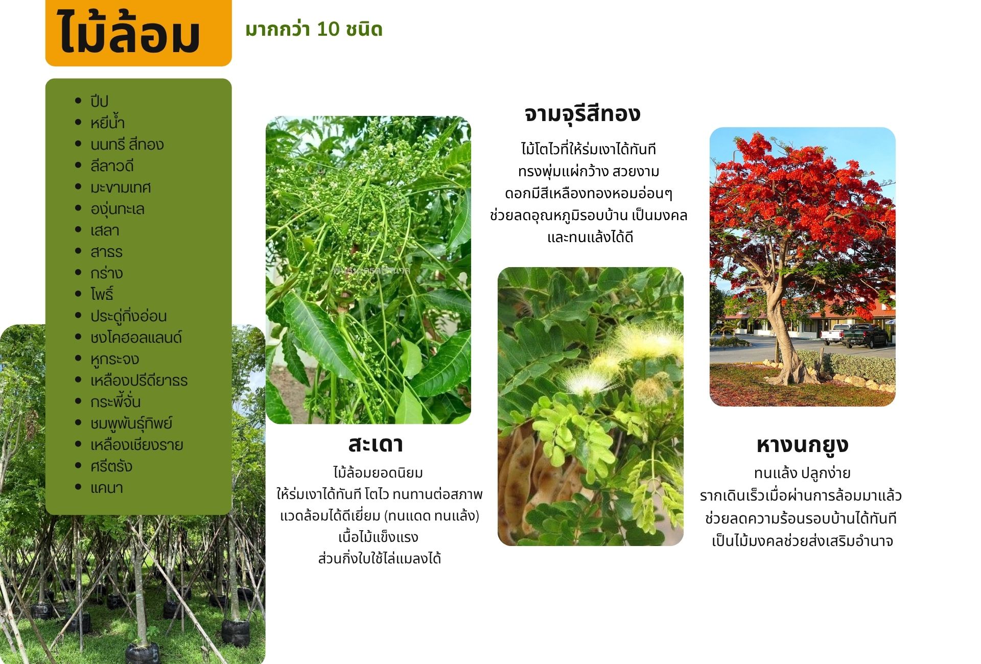 ไม้ล้อมรักษ์โลกจาก Good Seed Farm